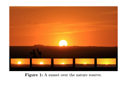 Simple compiled output showing a centered image with an automatically numbered caption underneath