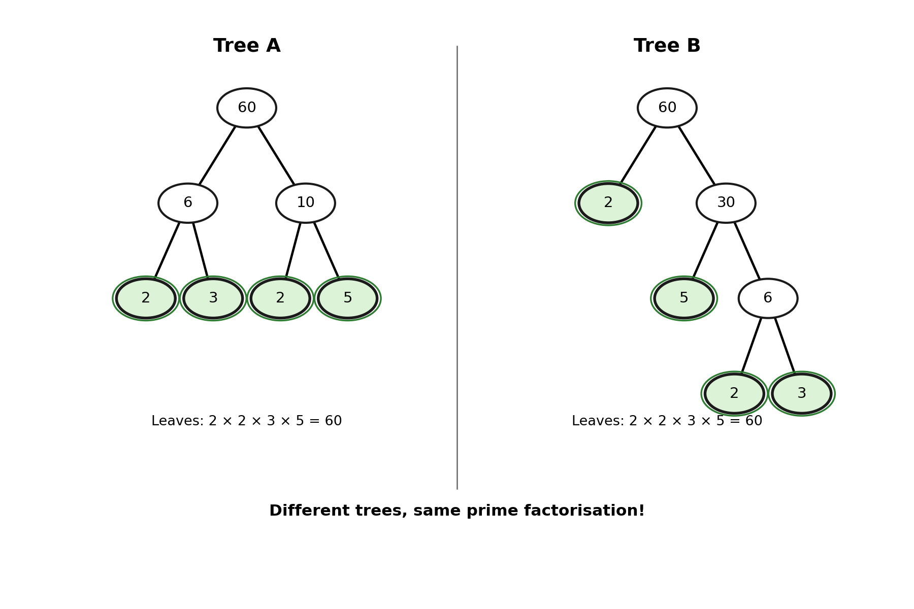 Two factor trees for 60: Tree A starting with 6×10 and Tree B starting with 2×30, both producing the same prime leaves 2, 2, 3, 5
