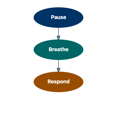 Pause Breathe Respond Vertical Flow Chart