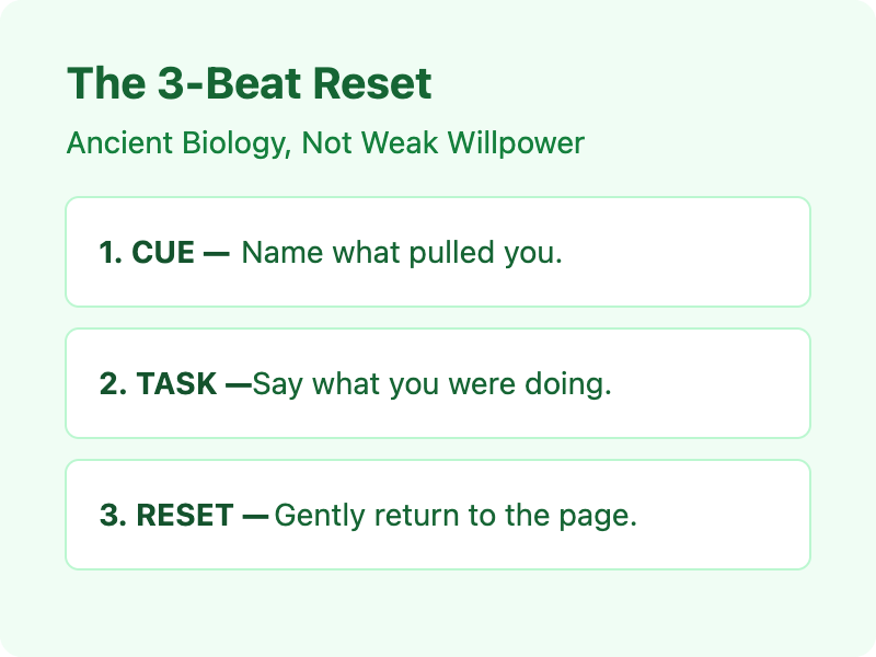 A checklist-style graphic titled "The 3-Beat Reset" for handling external distractions. It lists three steps: 1. Cue (naming the novelty pull), 2. Task (stating what you were doing), and 3. Reset (gently walking your eyes back to work). A subtitle notes that this reflex is a matter of biology, not personal failure.